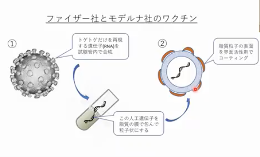 岡田教授動画